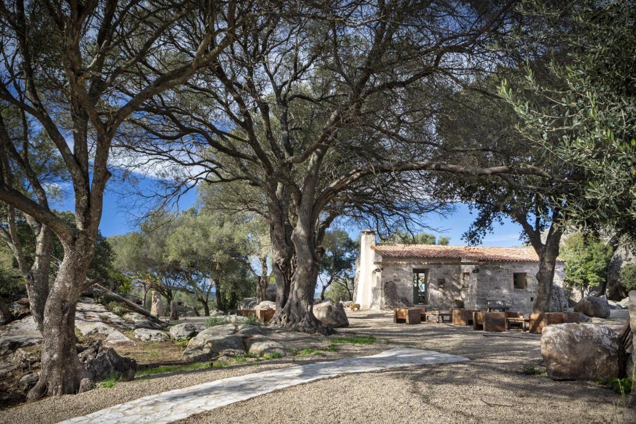 Gallicantu Stazzo Retreat Luogosanto Extérieur photo